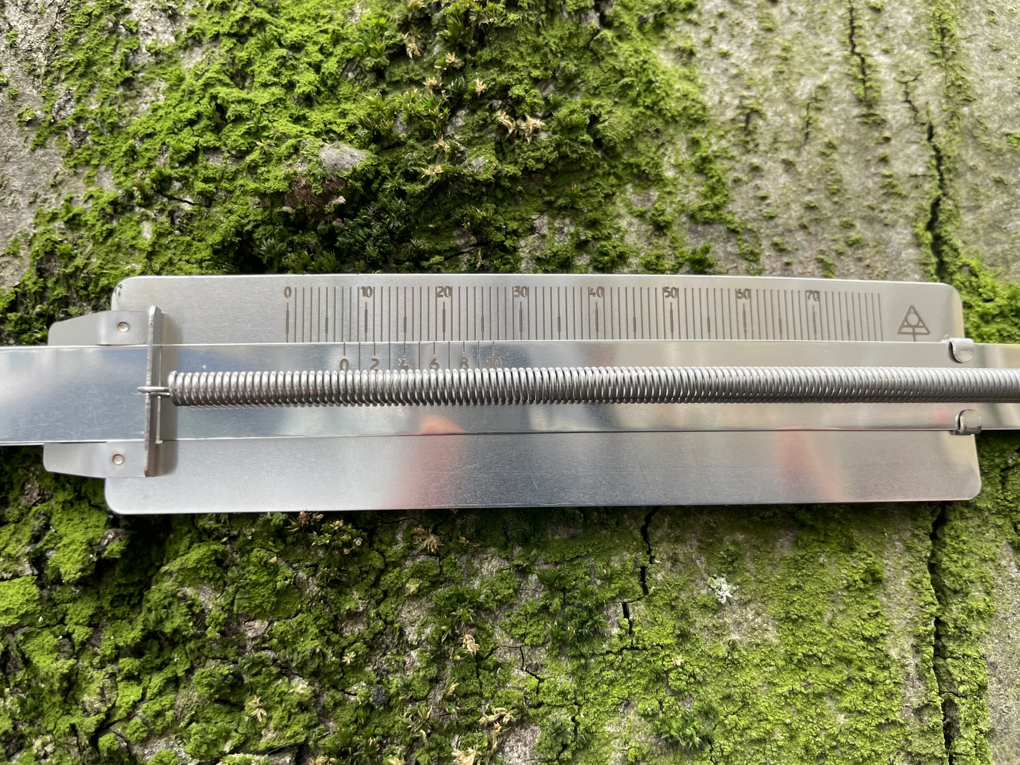 Analoges Dendrometer