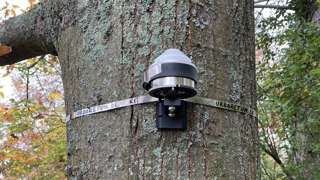 Digitales Dendrometer