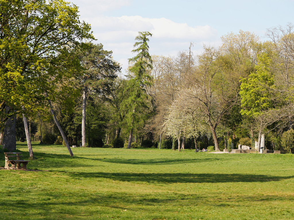 Sonnige Parklandschaft mit einer weiten Rasenfläche und verschiedenen Laub- und Nadelbäumen.